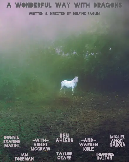 Poster for A Wonderful Way with Dragons