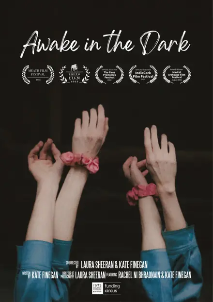 Poster for Awake In The Dark