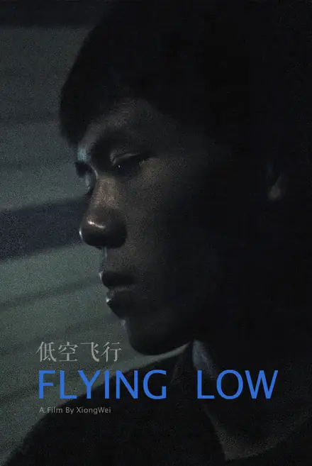 Poster for Flying Low